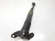 Stoßdämpfer Rechts Hinten LR114040 Land + Range Rover Range Rover Evoque (LVJ/LVS) SUV 2.0 D 150 16V (204DTD) 2019