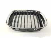 Grill Gitter Links 51138159315 BMW SERIE 5 BERLINA E39 523i 1995