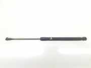 Gasdruckfedern Set Hinten 51247060622 BMW 1 serie (E87/87N) Schrägheck 5-drs 120d 16V (M47-D20(204D4)) 2006