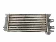 Ladeluftkühler 0384N9 Peugeot 3008 I (0U/HU) Großraumlimousine 1.6 HDiF 16V (DV6C(9HR)) 2014