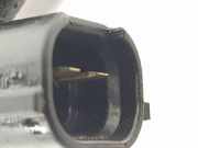 Kraftstoff-Injector 166004787R Dacia II Stepway