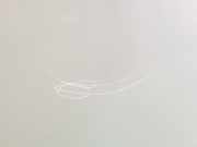 Motorhaube 93170620 Opel Zafira (F75) Großraumlimousine 2.0 DI 16V (X20DTL) 2000