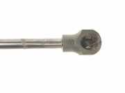 Gasdruckfedern Set Hinten 904529943R Dacia Sandero II Schrägheck 0.9 TCE 12V (H4B-408(H4B-B4)) 2018