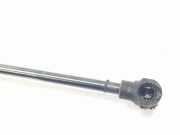 Gasdruckfedern Set Hinten 9680677780 Opel LIFE E ELEGANCE