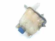 Ausgleichbehälter 1358583080 Fiat Ducato (250) Van 2.3 D 130 Multijet (F1AE3481D) 2013