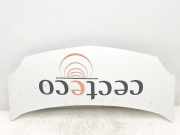 Motorhaube 651003220R Renault Kangoo Express (FW) Van 1.5 dCi 70 (K9K-840) 2011