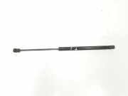Gasdruckfedern Set Hinten 8731G3 Citroën C3 (FC/FL/FT) Schrägheck 5-drs 1.4 HDi (DV4TD(8HX)) 2003