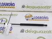 Gasdruckfeder Hinten 51248254281 BMW 3 serie (E46/2) Coupé 318 Ci (M43-B19(19 4 E1)) 1999
