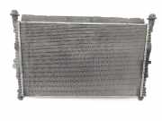Radiator BK218005CC Ford CUSTOM FURGÓN TTF 270 L1
