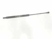 Gasdruckfeder Set Vorne 60658924 Alfa Romeo 166 Limousine 2.4 JTD (839.A.6000) 1999