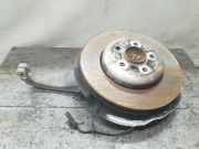 Achsschenkel Links Vorne 31216775769 BMW 5 serie (F10) Limousine 530d 24V (N57-D30A) 2012