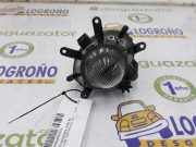 Nebelscheinwerfer Rechts 63176911007 BMW 3 serie (E46/4) Limousine 320d 16_V (M47N(204D4)) 2004