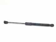 Gasdruckfeder Set Vorne 4G8823359A Audi Q2 (GAB/GAG) SUV 1.6 30 TDI 16V (DDYA)