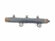 Einspritzdüsen Düsenstock 1369551 Land + Range Rover Range Rover Sport (LS) Geländewagen 2.7 TDV6 24V (276DT) 2008