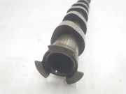 Nockenwelle 368DT Land + Range Rover Range Rover III (LM) Geländewagen 3.6 TDV8 32V (368DT) 2007