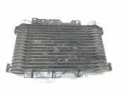 Ladeluftk?hler MR552982 Mitsubishi Pajero Cabrio (V2/4) Gel?ndewagen 2.5 TD i.c. (4D56TDI) 2004