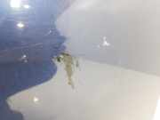 Tür Rechts Vorne C14558020B Mazda Premacy Großraumlimousine 1.8 16V (FPE1) 2004