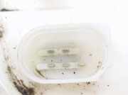 Vorförderpumpe 16117243972 BMW 3 serie Gran Turismo (F34) Schrägheck 320d 2.0 16V (N47-D20C) 2014