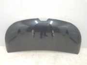 Motorhaube 651224338R Renault L1H1 29t Komfort