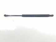 Gasdruckfedern Set Hinten 51248254281 BMW 3 serie (E46/4) Limousine 320d 16_V (M47N(204D4)) 2004