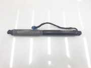 Gasdruckfeder Hinten 51248499572 BMW 7 serie (G11/G12) Limousine 740Li xDrive 24V (B58-B30C) 2019