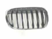 Grill 51137354824 BMW X1 (F48) SUV xDrive 18d 2.0 16V (B47-C20A) 2017