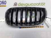 Grill Gitter Links 51133402909 BMW X3 (E83) SUV 3.0d 24V (M57N2-D30(306D3)) 2008