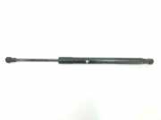 Gasdruckfeder Hinten 51247129194 BMW 3 serie (E92) Coupé 320i 16V (N43-B20A) 2008