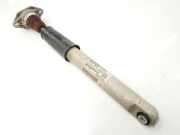 Stoßdämpfer Links Hinten 97033314505 Porsche Panamera (970) Liftback 3.0 D V6 24V (MCR.CC) 2012