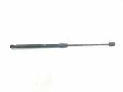 Gasdruckfedern Set Hinten 8K9827552A Audi RS 4 Avant (B8) Kombi 4.2 V8 32V (CFSA(Euro 5)) 2012