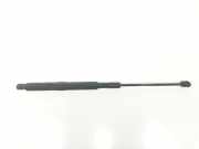Gasdruckfeder Set Vorne 97051157100 Porsche Panamera (970) Liftback 3.6 V6 24V PDK 4 (M46.40) 2011
