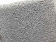 Kolben 120A100QAJ Nissan Juke (F15) 1.5 dCi (K9K)