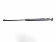 Gasdruckfeder Set Vorne 51237129190 BMW 3 serie (E93) Cabrio 325i 24V (N53-B30A) 2008