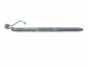 Gasdruckfedern Set Hinten 7339432 BMW X4 (F26) SAC SUV xDrive20d 16V (B47-D20A)