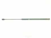 Gasdruckfeder Set Vorne A1719800164 Mercedes-Benz SLK (R171) Cabrio 1.8 200 K 16V (M271.944) 2007