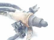 Lambdasonde LX619G444FC Ford Kuga III (DFK) SUV 1.5 EcoBoost 12V 150 (YZDA) 2022