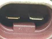 Lüfter Kühler 8V518C607AF Ford Fiesta 6 (JA8) Schrägheck 1.25 16V (SNJA)