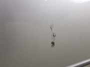 Tür Rechts Vorne 41517034152 BMW 3 serie (E46/4) Limousine 328i 24V (M54-B25(256S5)) 2001