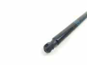 Gasdruckfedern Set Hinten LV4BS406A11CA Ford Kuga III (DFK) SUV 2.5 PHEV 16V (BGDA)