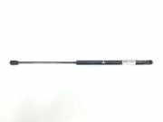 Gasdruckfedern Set Hinten 8P4827552B Audi A3 Sportback (8PA) Schrägheck 5-drs 2.0 TDI 16V (CBAB) 2009