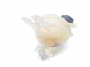 Ausgleichbehälter 9800777280 Opel Crossland (X) SUV 1.2 Turbo 12V (B12XHL(EB2DT)) 2018