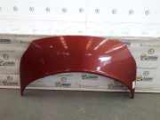 Motorhaube 651001097R Renault Grand Scénic II (JM) Großraumlimousine 1.9 dCi 120 (F9Q-812) 2004