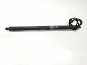 Gasdruckfedern Set Hinten 51247432742 BMW X3 (F25) SUV xDrive20d 16V (B47-D20A)