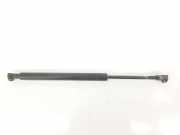 Gasdruckfeder Hinten 51248254281 BMW 3 serie (E46/4) Limousine 318d 16_V (M47N(204D4)) 2003
