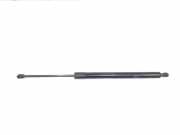 Gasdruckfedern Set Hinten 2211758 Ford 1.5 TDCi (120 CV) 2019
