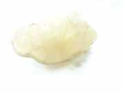 Ausgleichbehälter 13436102 Opel Corsa E Schrägheck 1.4 16V (D14XEL(Euro 6d-temp)) 2019