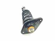 Stoßdämpfer Rechts Hinten 33509807018 Mini Paceman (R61) SUV 2.0 Cooper D 16V (N47-C20A)