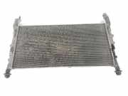 Radiator 1383317 Ford Transit Van 2.2 TDCi 16V (PGFA(Euro 4)) 2010