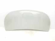 Motorhaube 651224338R Renault L1H1 29t Komfort