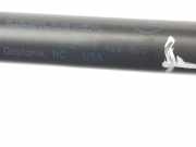 Gasdruckfedern Set Hinten 51248402405 BMW X5 (E53) SUV 3.0d 24V (M57N-D30(306D2)) 2004